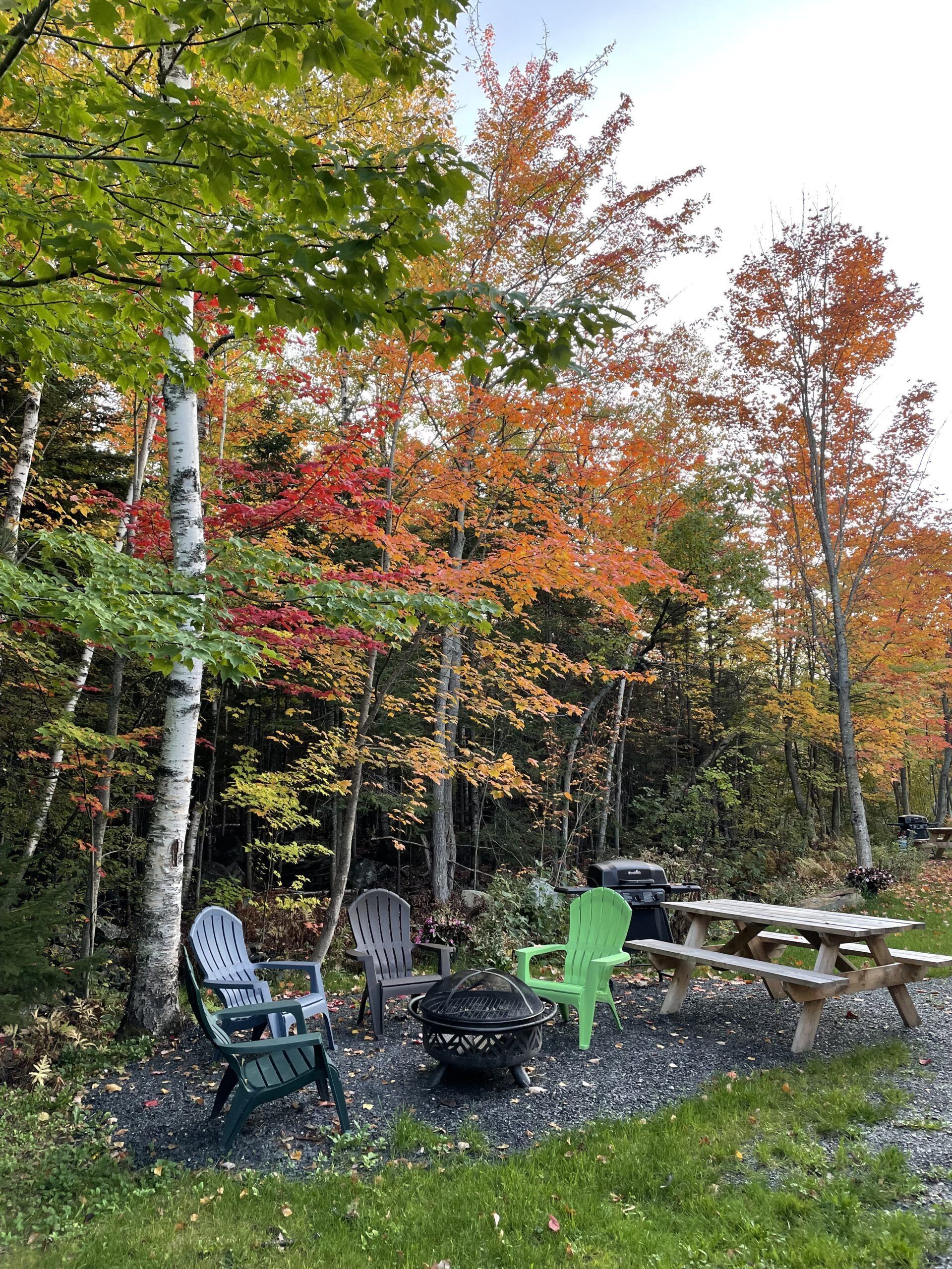 Fire pit,  grill, and plenty pf space to sit and relax by the brook in the back.