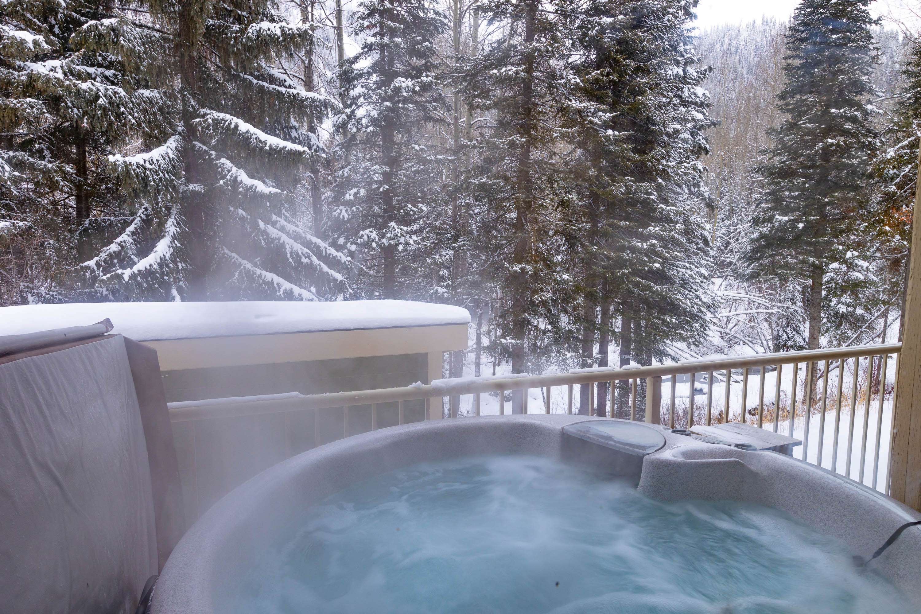 Large One Bedroom Suite - Private Hot Tub! 4