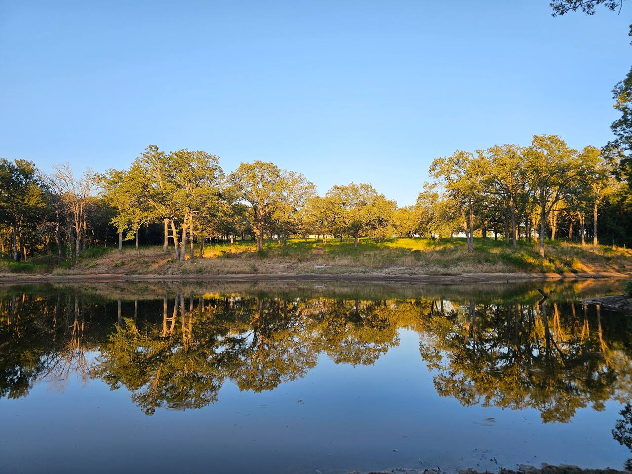 A view of the breathtaking pond