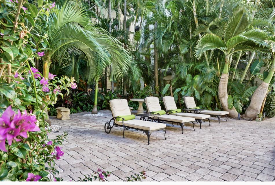 Relax by the pool in the serenity of our green garden