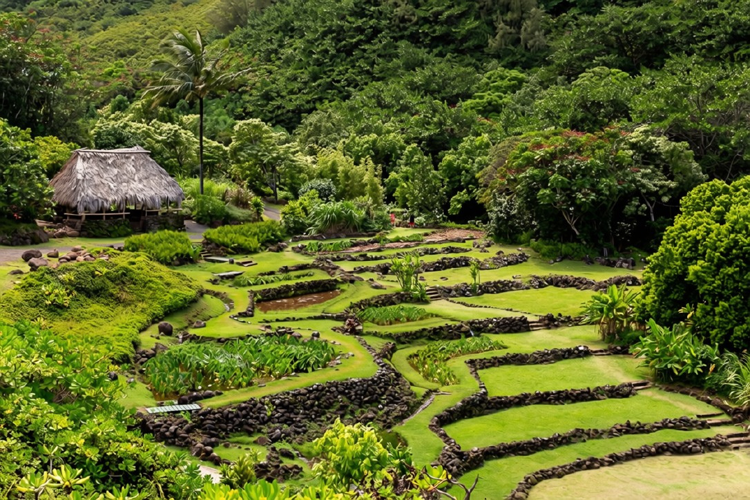 Limahuli Garden and preserve