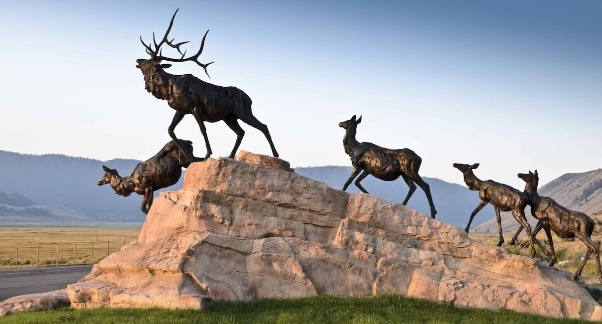 Take a day trip and visit the National Wildlife Museum is about 1 hr away.