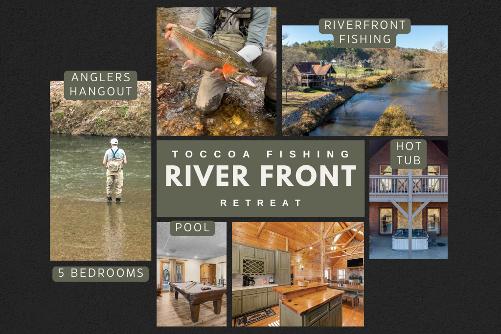 Welcome to River Bears Lair!