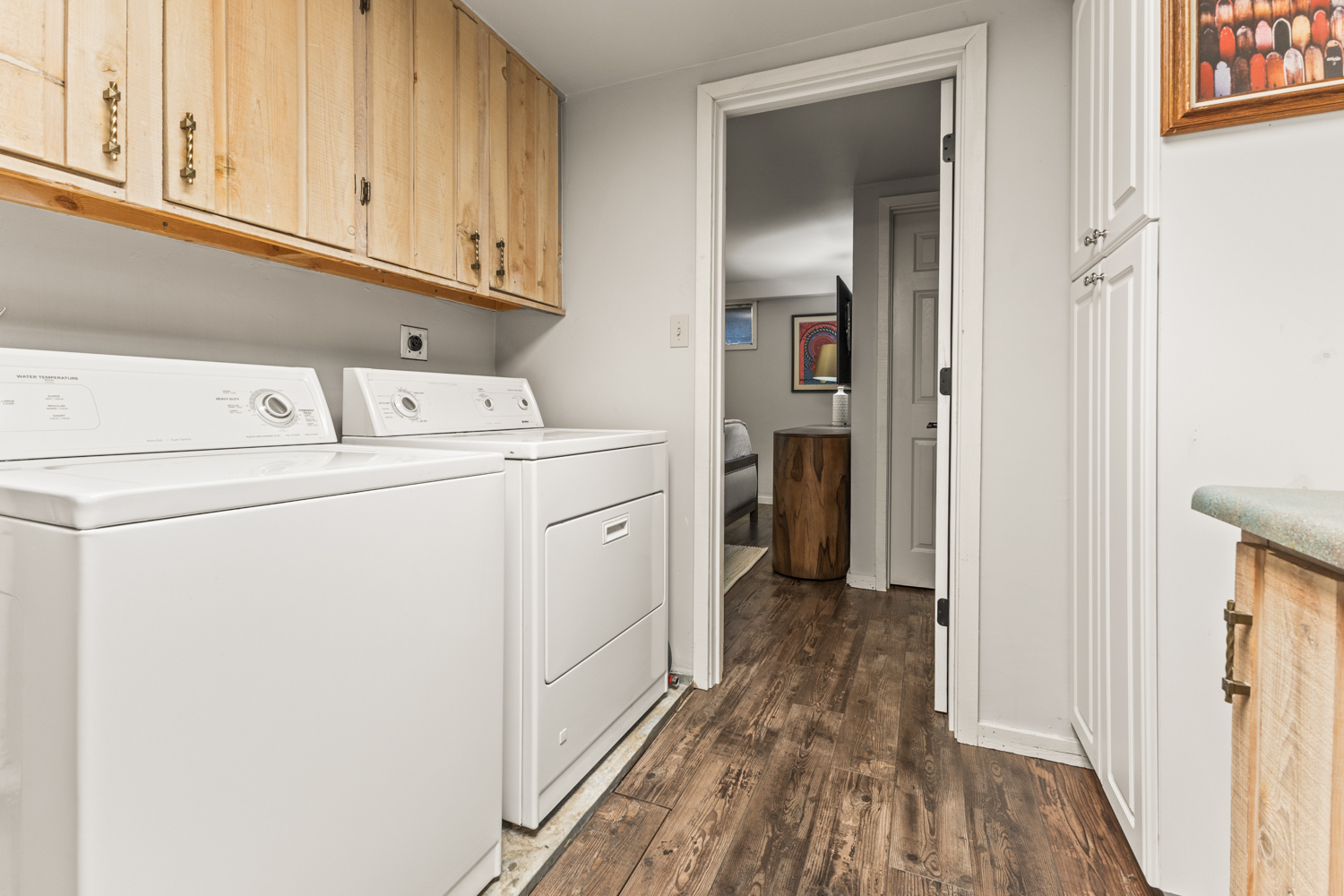 Downstairs Washer & Dryer