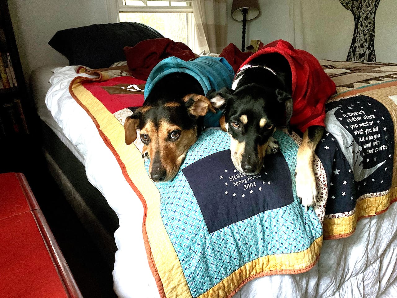 Lake‑ozarks‑pet‑friendly‑welcome‑sign