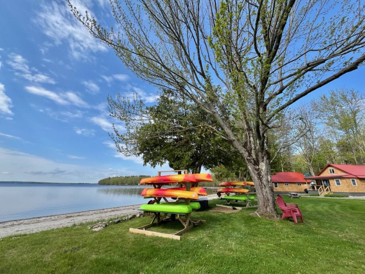 kayaks