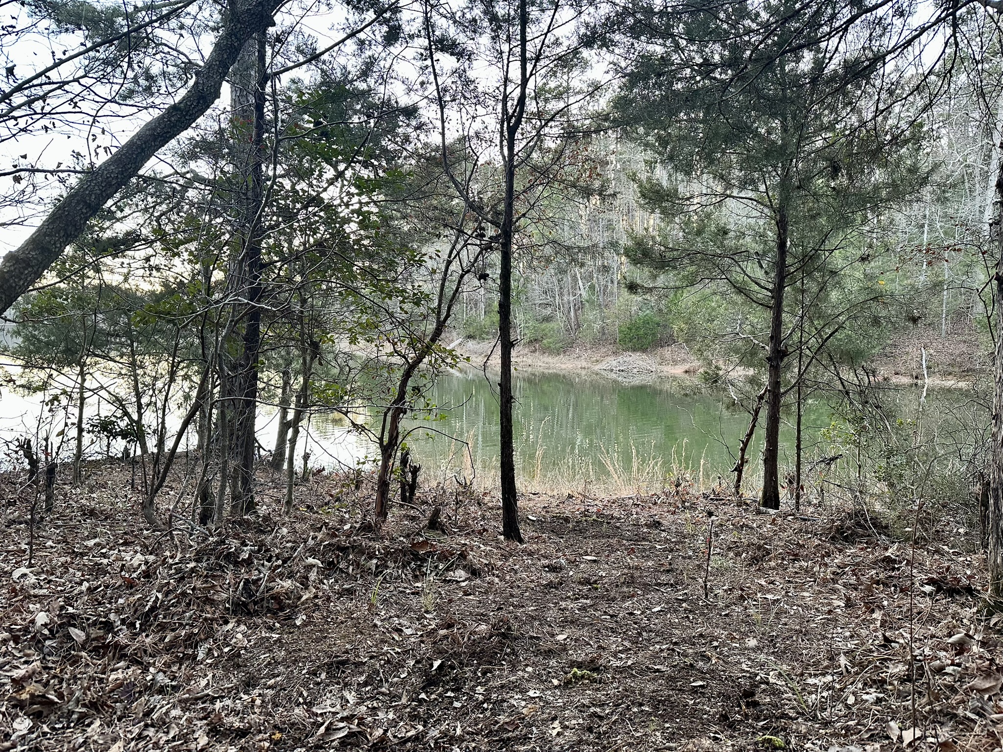 Nearby Cove
