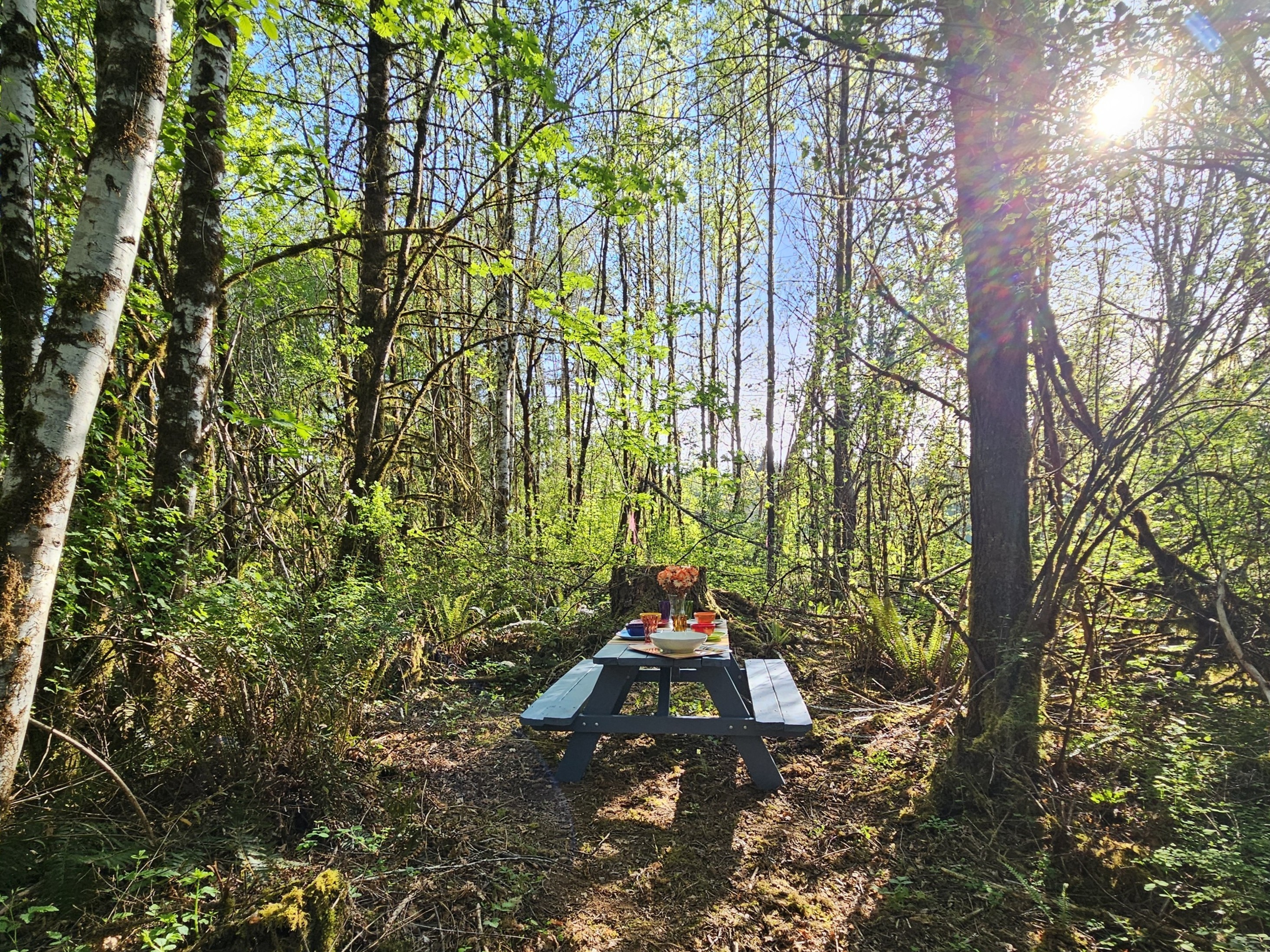 Dine in a secluded upland clearing at the end of a 4 acre walk through the wetland forest, surrounded by birds and woodland creatures.