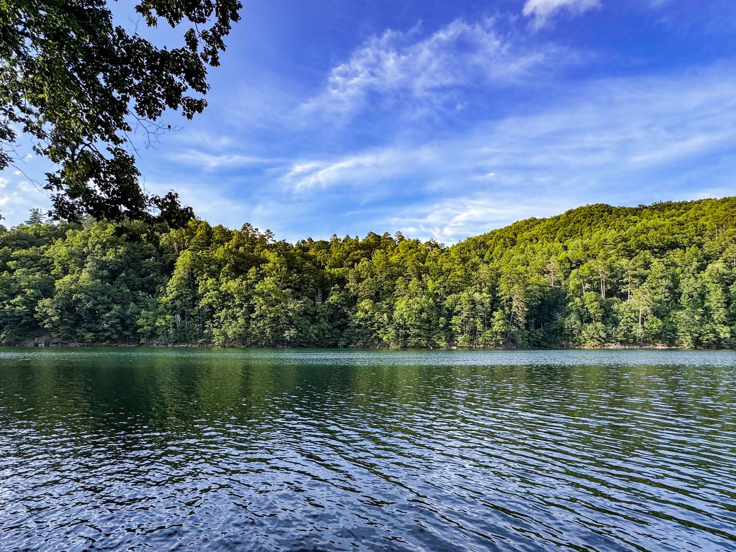 A view from our dock in the Summer months