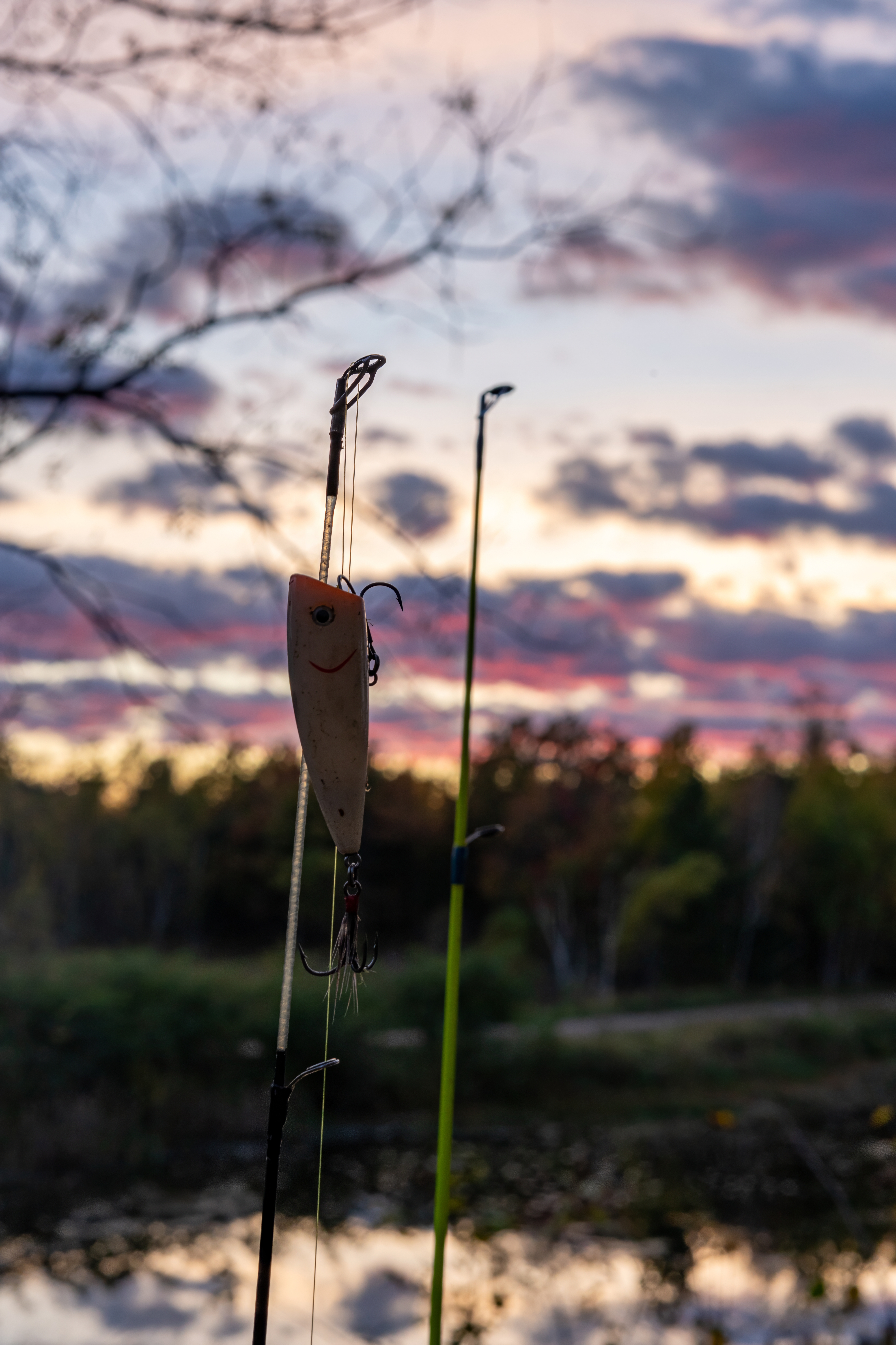 The Northwoods Bear Lakehouse on Elbow Lake — Turtle Lake, Wisconsin