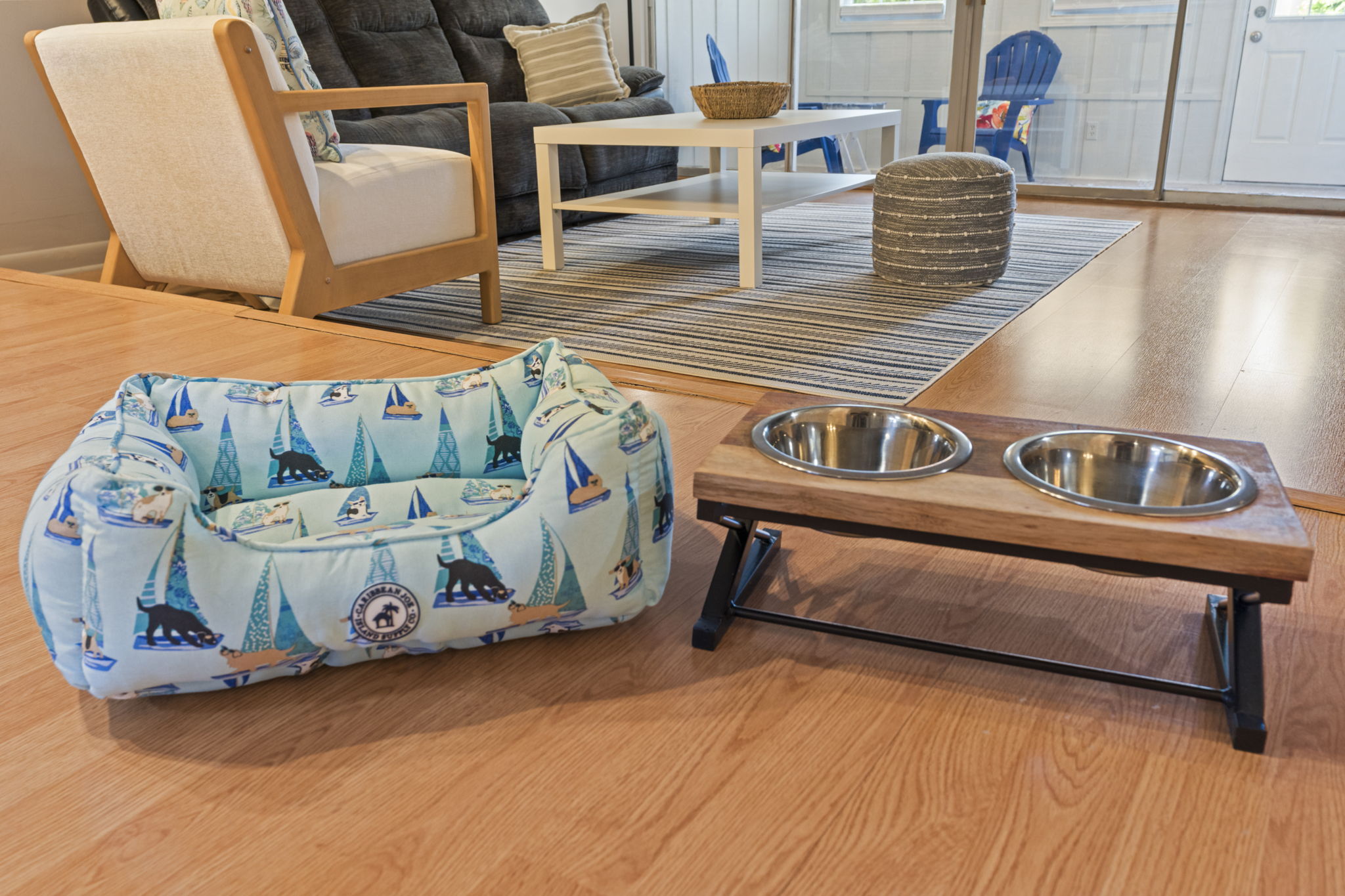 Bring your pets to the beach with you!