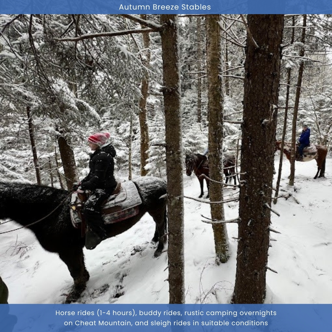 Allegheny Springs · Unit 434 — Powder Days at Snowshoe (2)