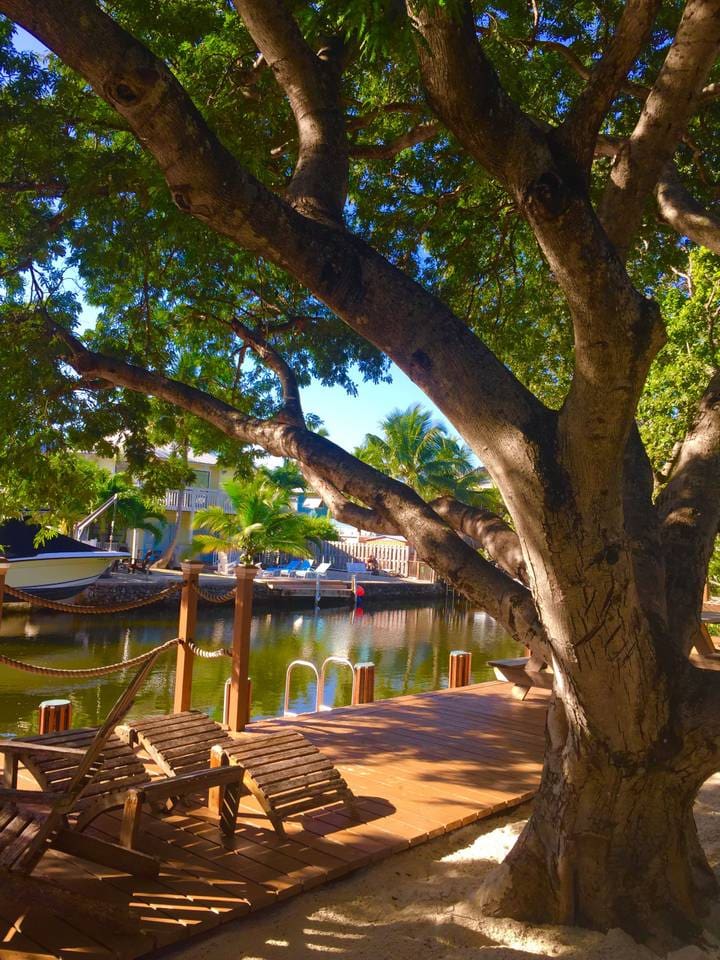 Shaded dock and beach area
