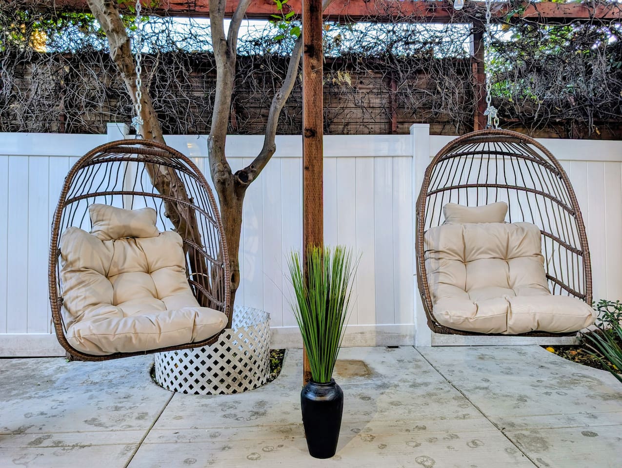 Cozy hanging chairs and a peaceful atmosphere.