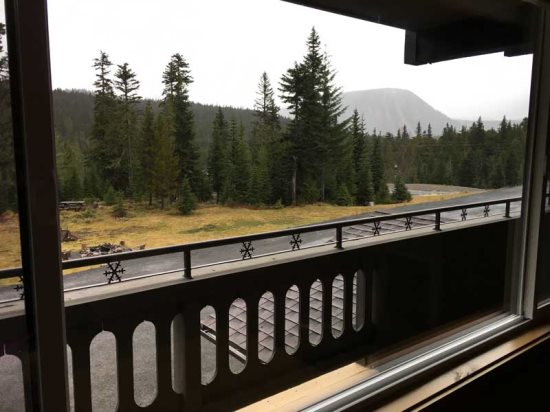 View from living room 