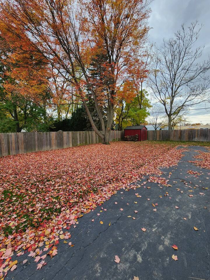 Fall color looks incredible!