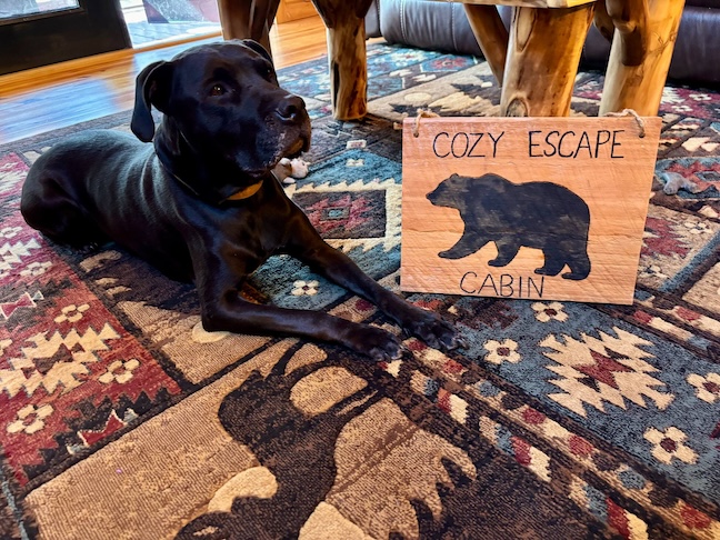 Posing for Cozy Escape Cabin, best model ever!