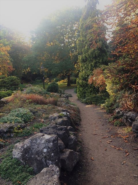 Pathway in Museum Gardens