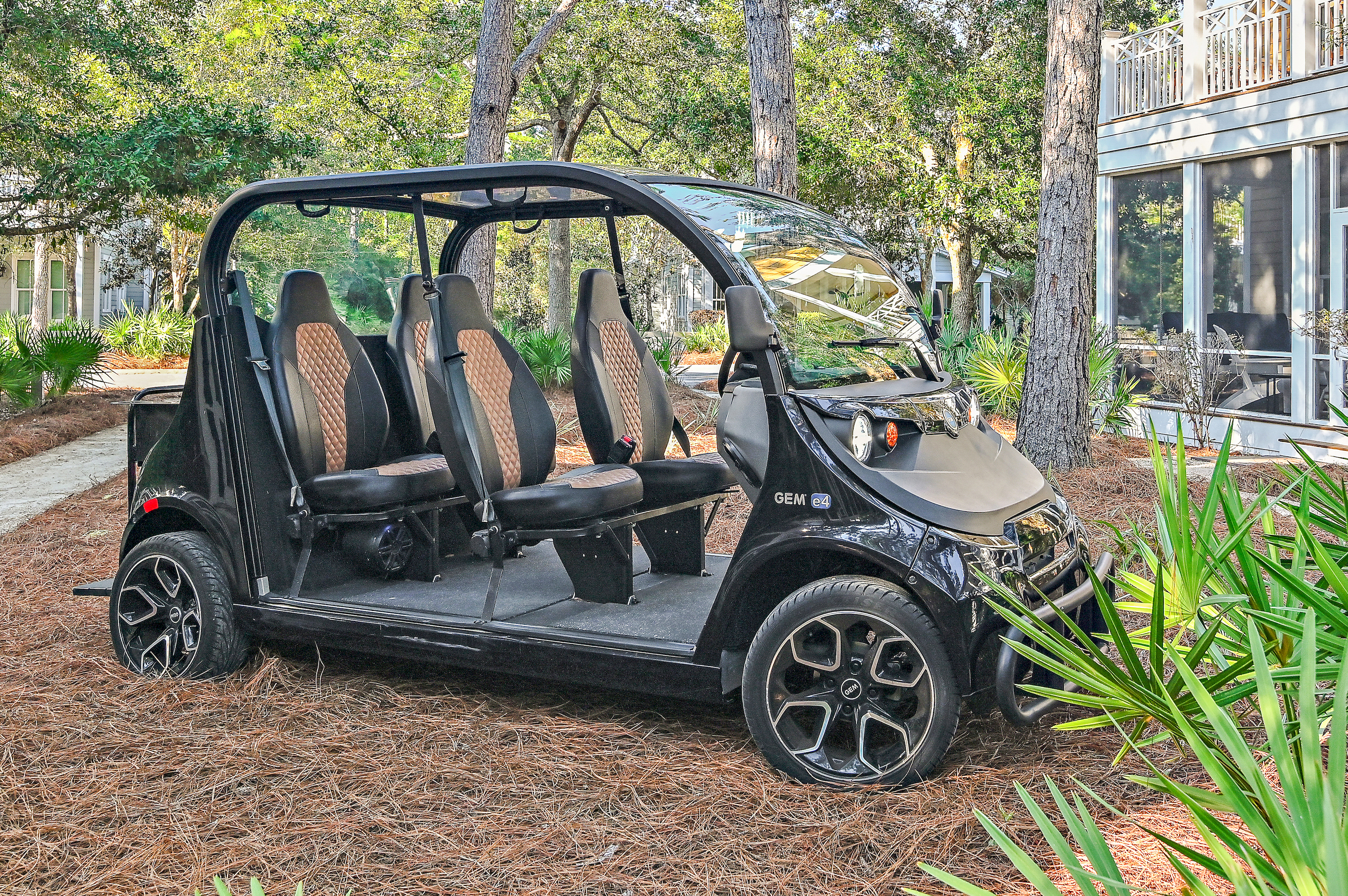 6 Passenger GEM Cart