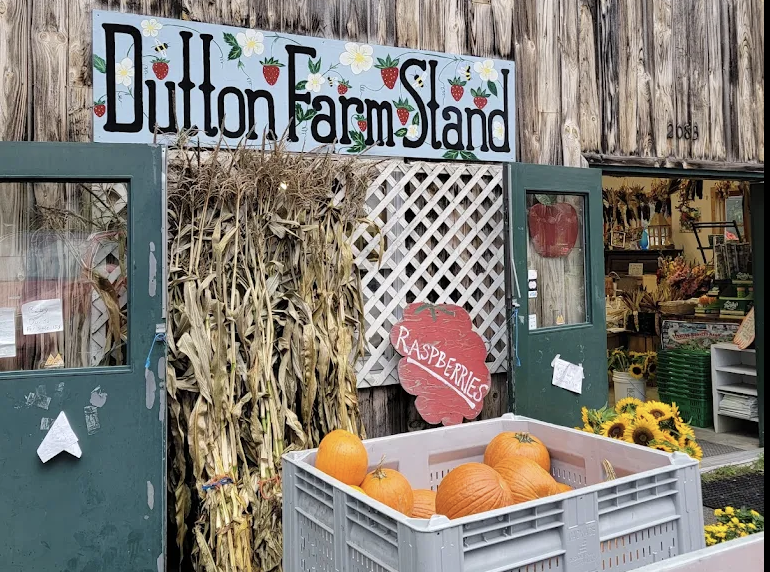 Start your visit by stopping at Dutton Farm Stand on your way in to town- locally owned store selling food from their own prolific farm. Apples, pumpkins, banana bread, local VT cheese, etc