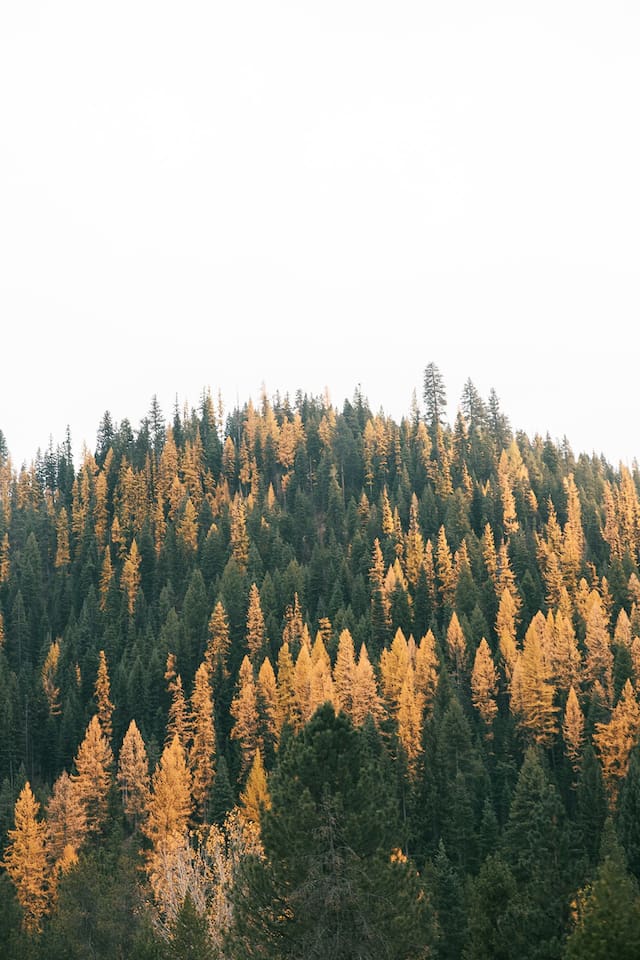 Beautiful Cascade