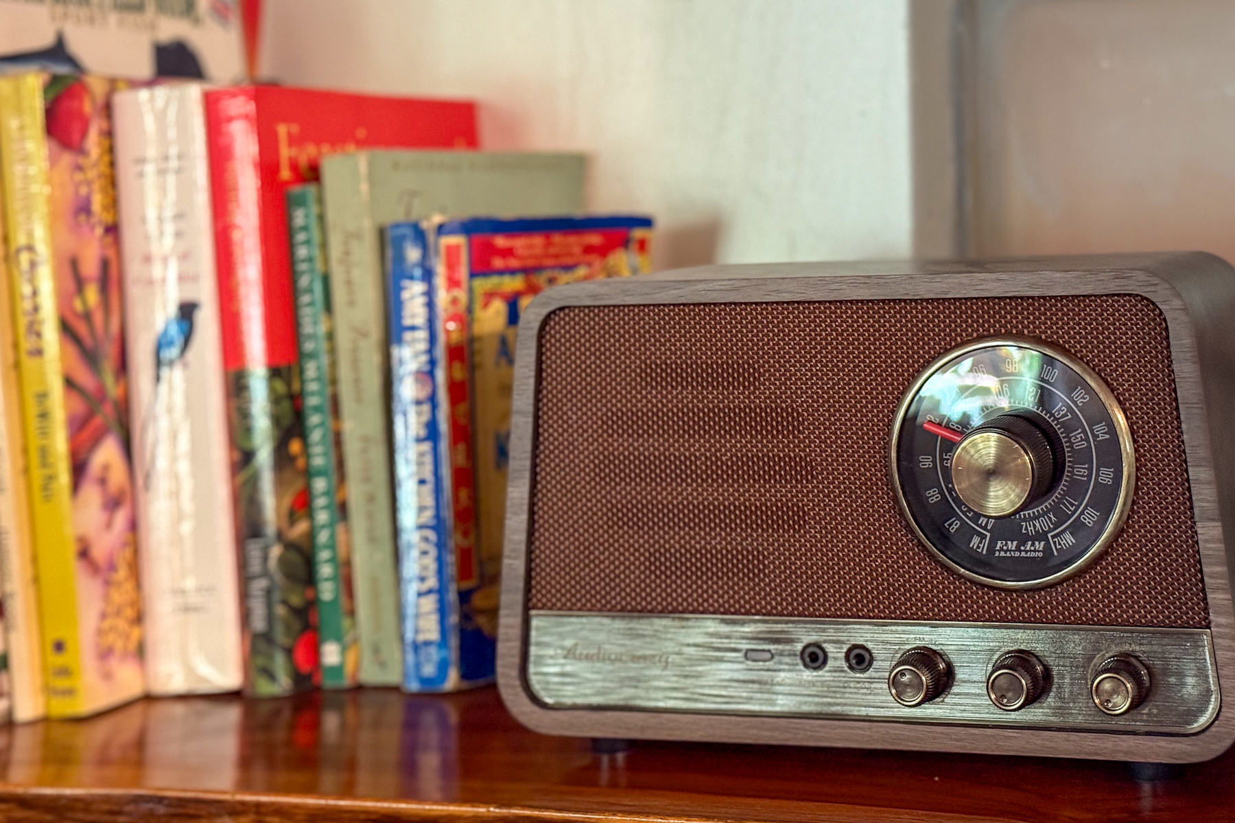Bluetooth speaker in living room