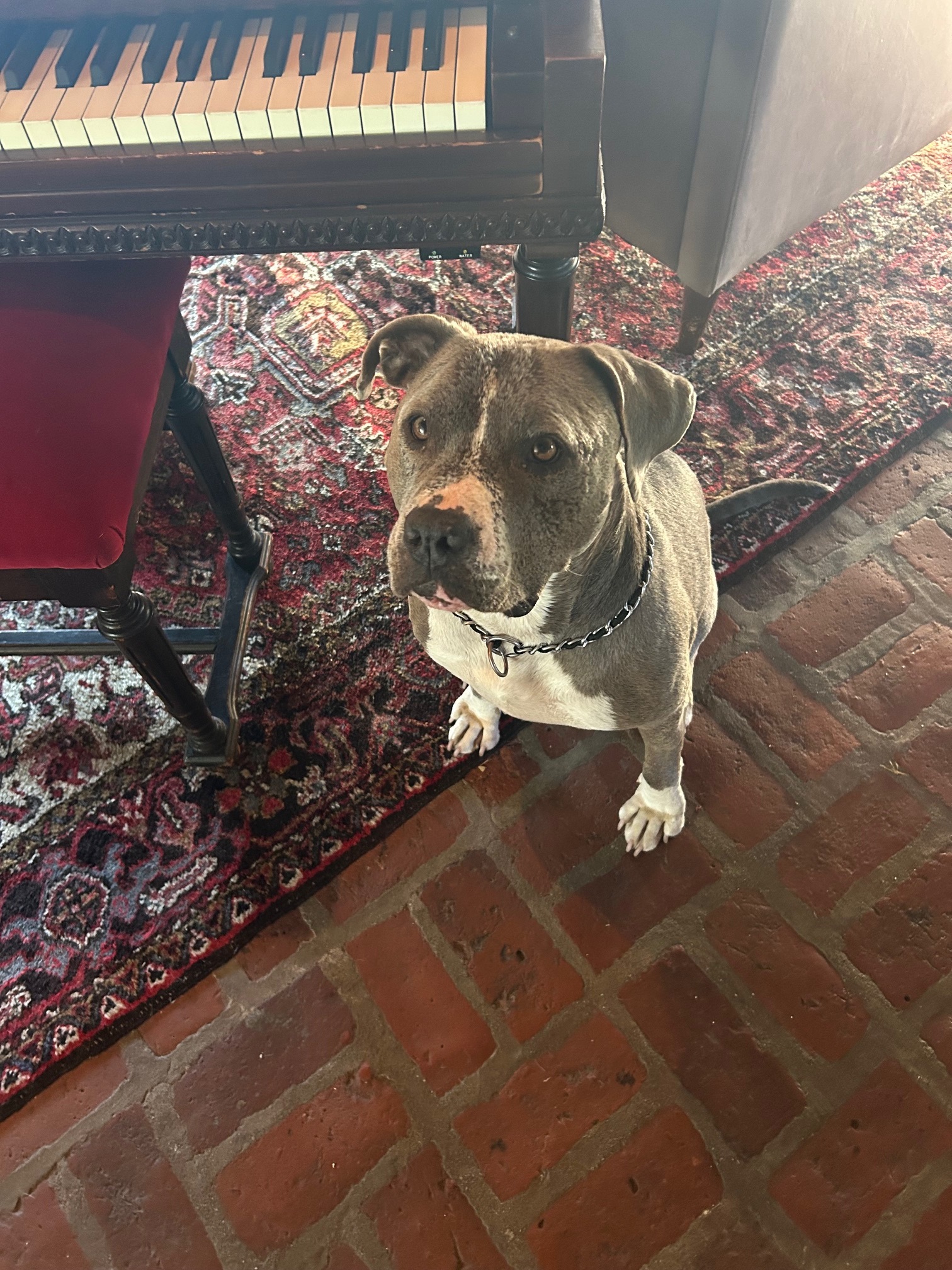 Guest Billie Girl asking Mom to play something on the Baby Grand.