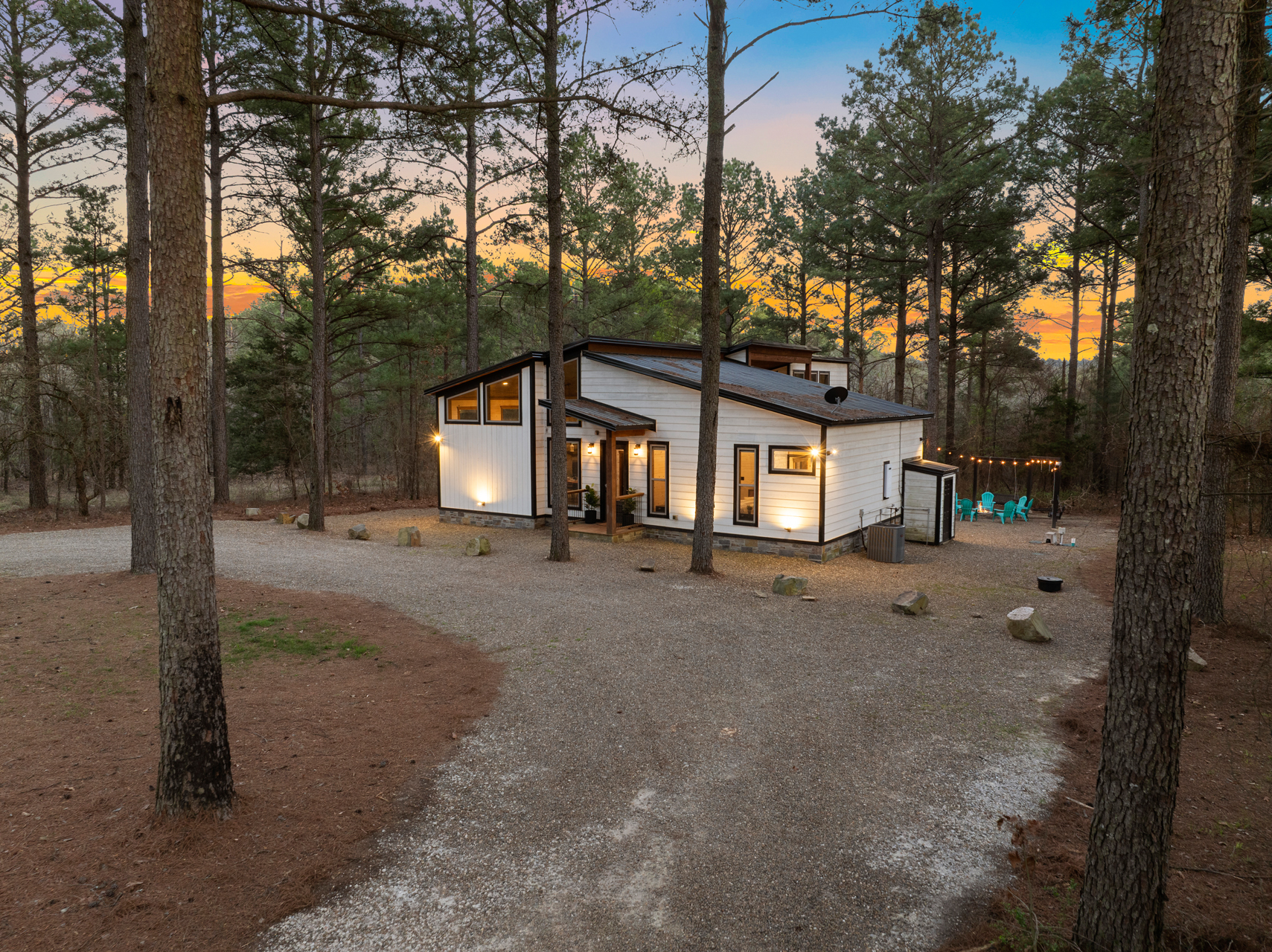 Golden hour through the pines, where sunlight, stillness, and nature come together beautifully.