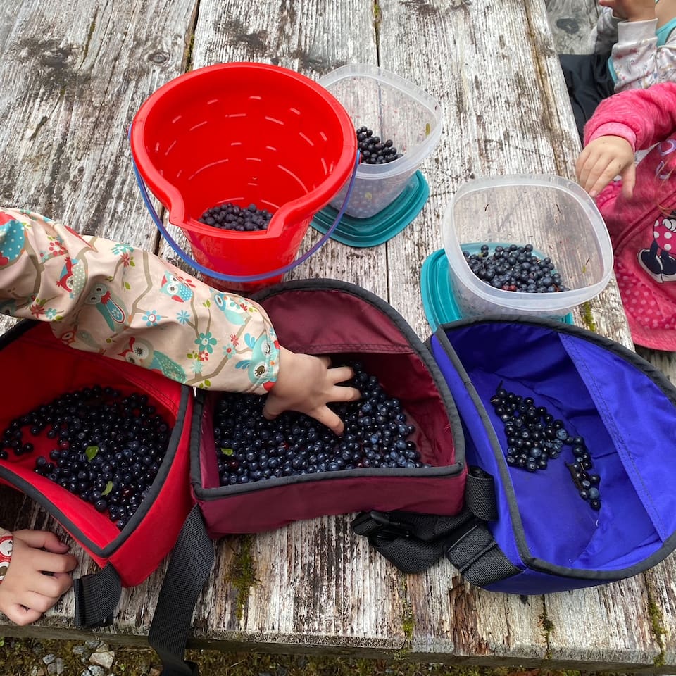 Berry picking is hard to beat in Juneau. Blueberries, Red and Blue Huckleberries, Salmon Berries, Cranberries, and many other foraging treats are just a short walk away. Berry baskets and directions to some great spots are provided upon request. 
