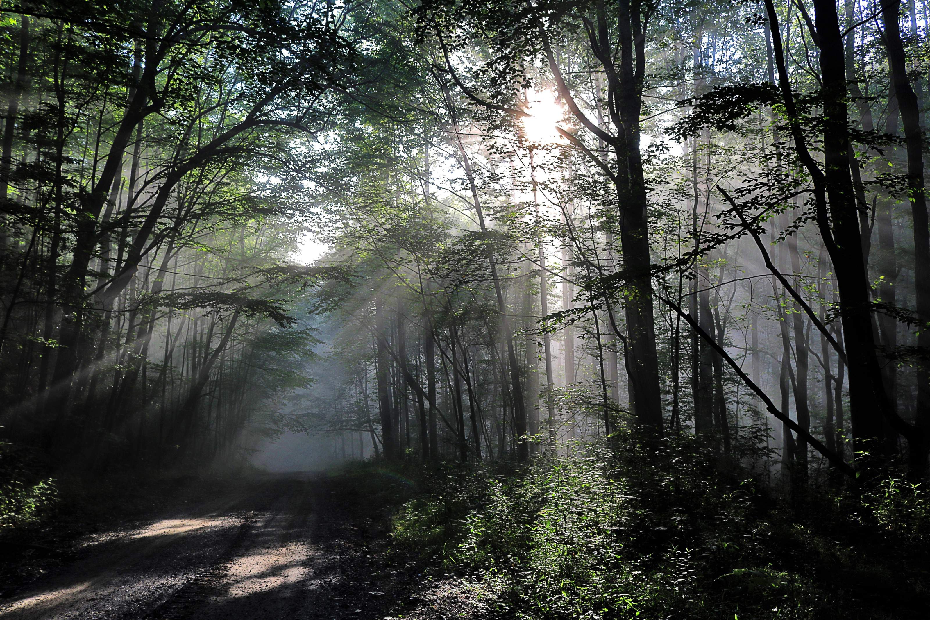 The peaceful a secluded road in