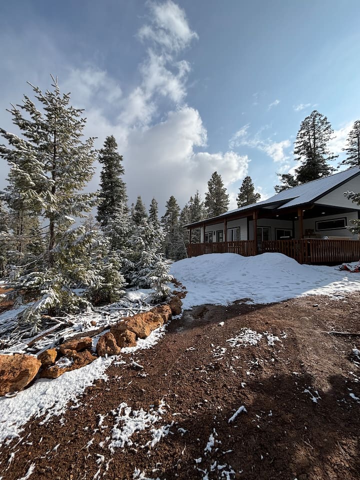 Snow-dusted trees and peaceful views all around the cabin. Winter truly is magical up here. ✨❄️