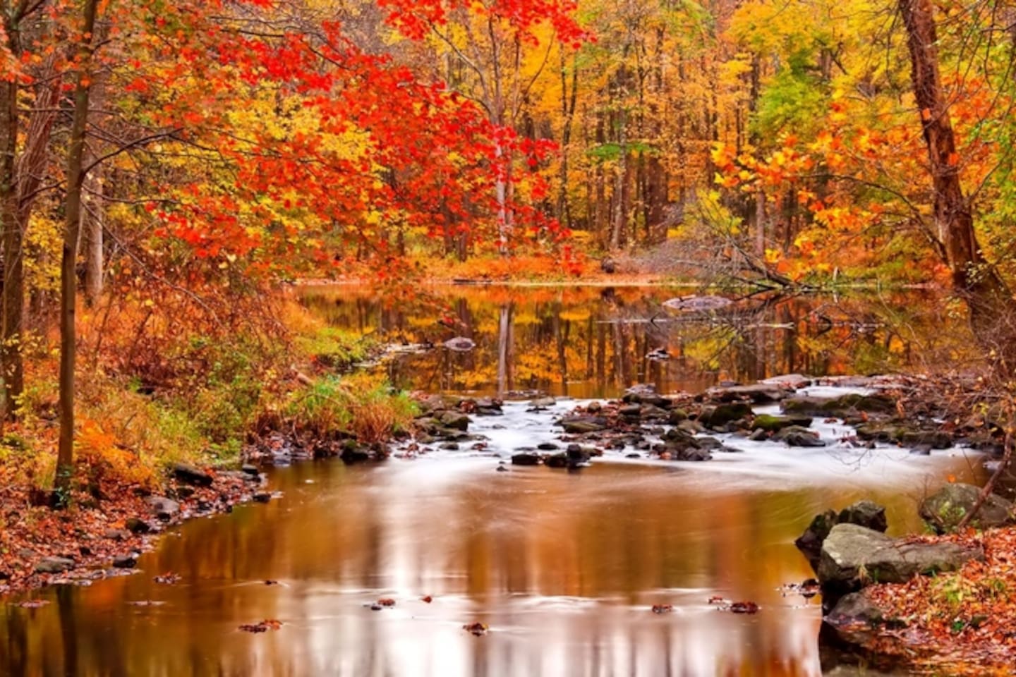 Fall is in the air! come enjoy the colors! The walk to the river is just a few minutes from the cabin.