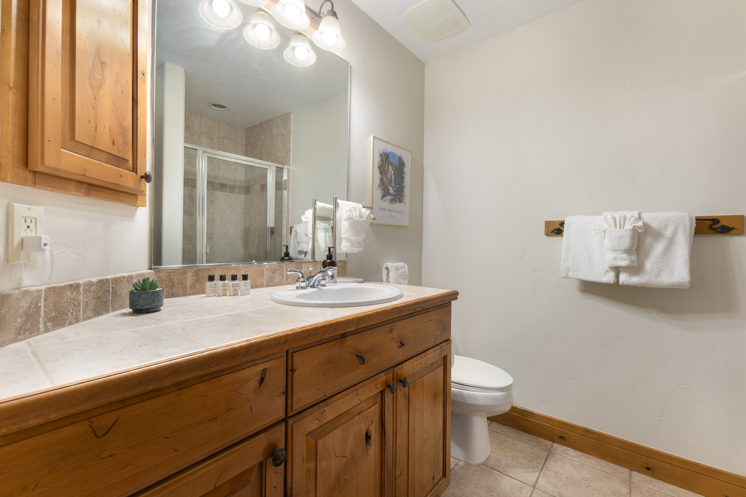 Bathroom 2 | Walk -in Shower | Toilet