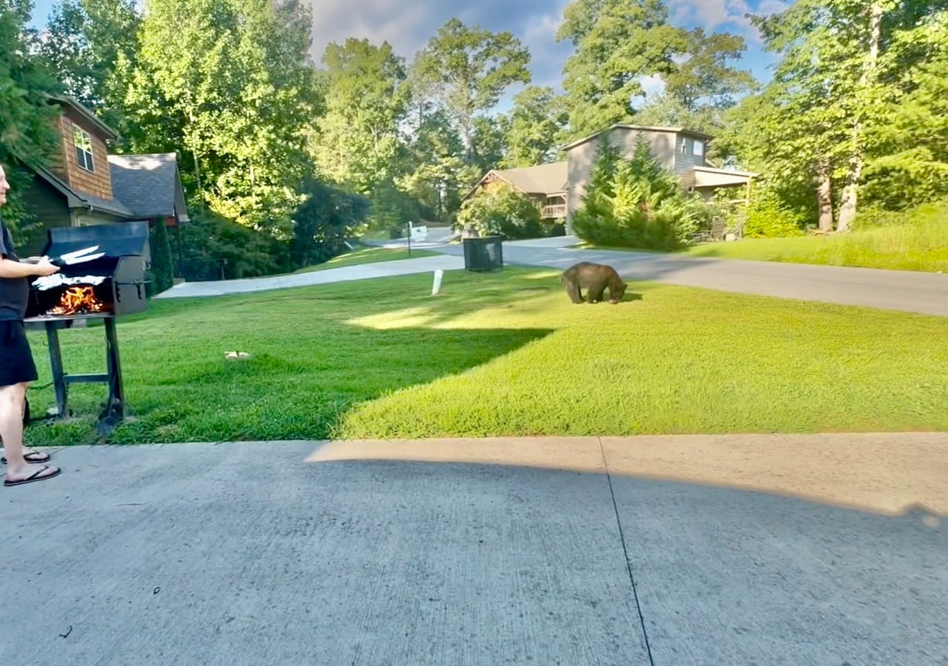 Front Yard