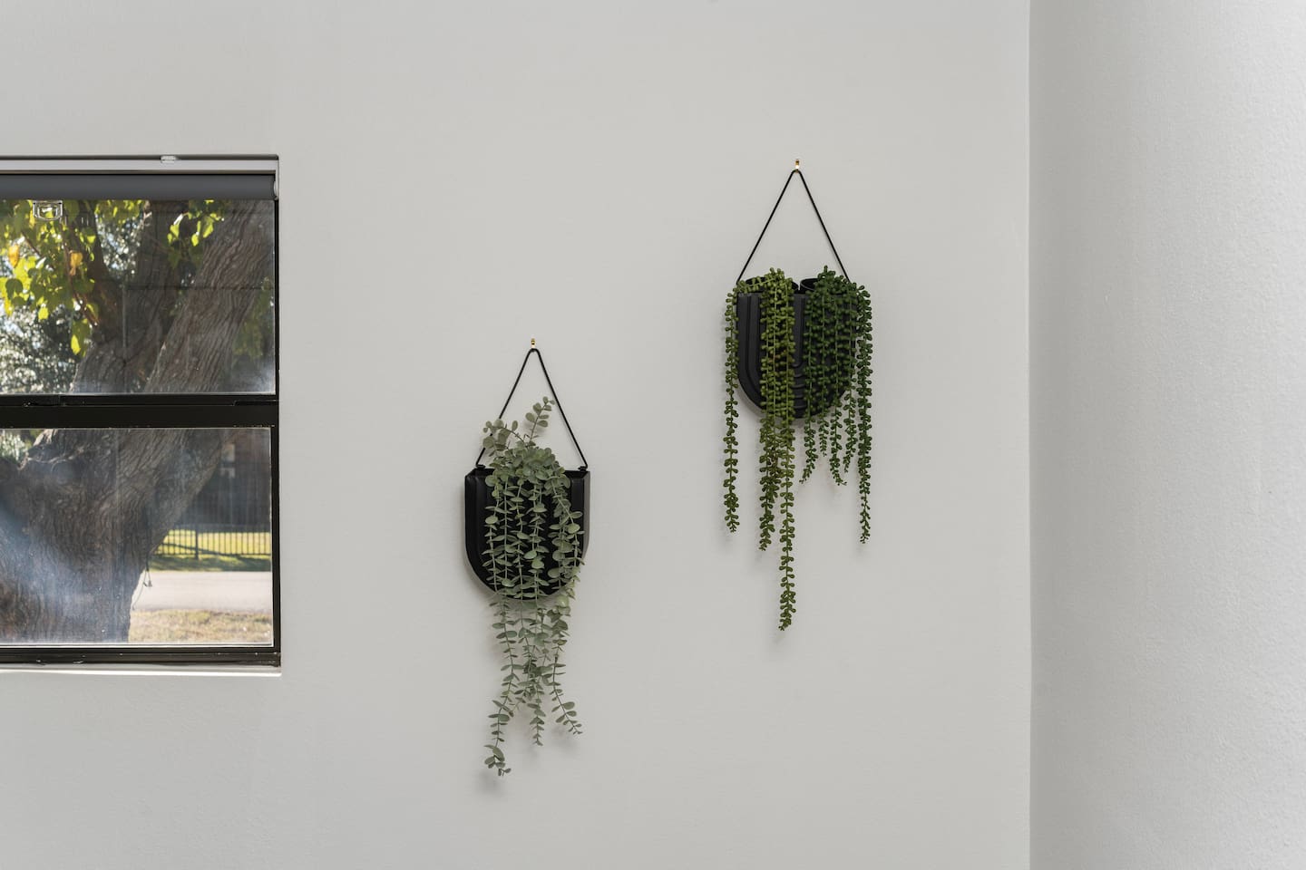 A touch of greenery brings warmth and calm to the space — stylish wall accents that create a welcoming, modern feel throughout the home.