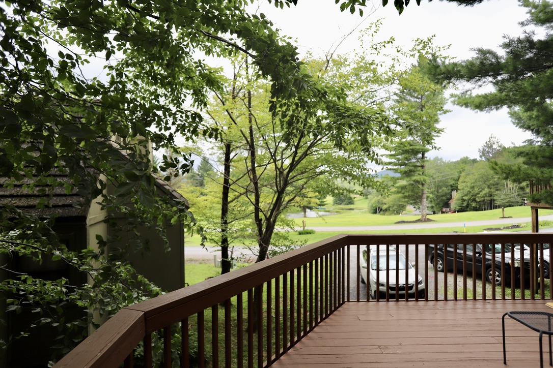 Cabin 32, Black Bear Resort photo