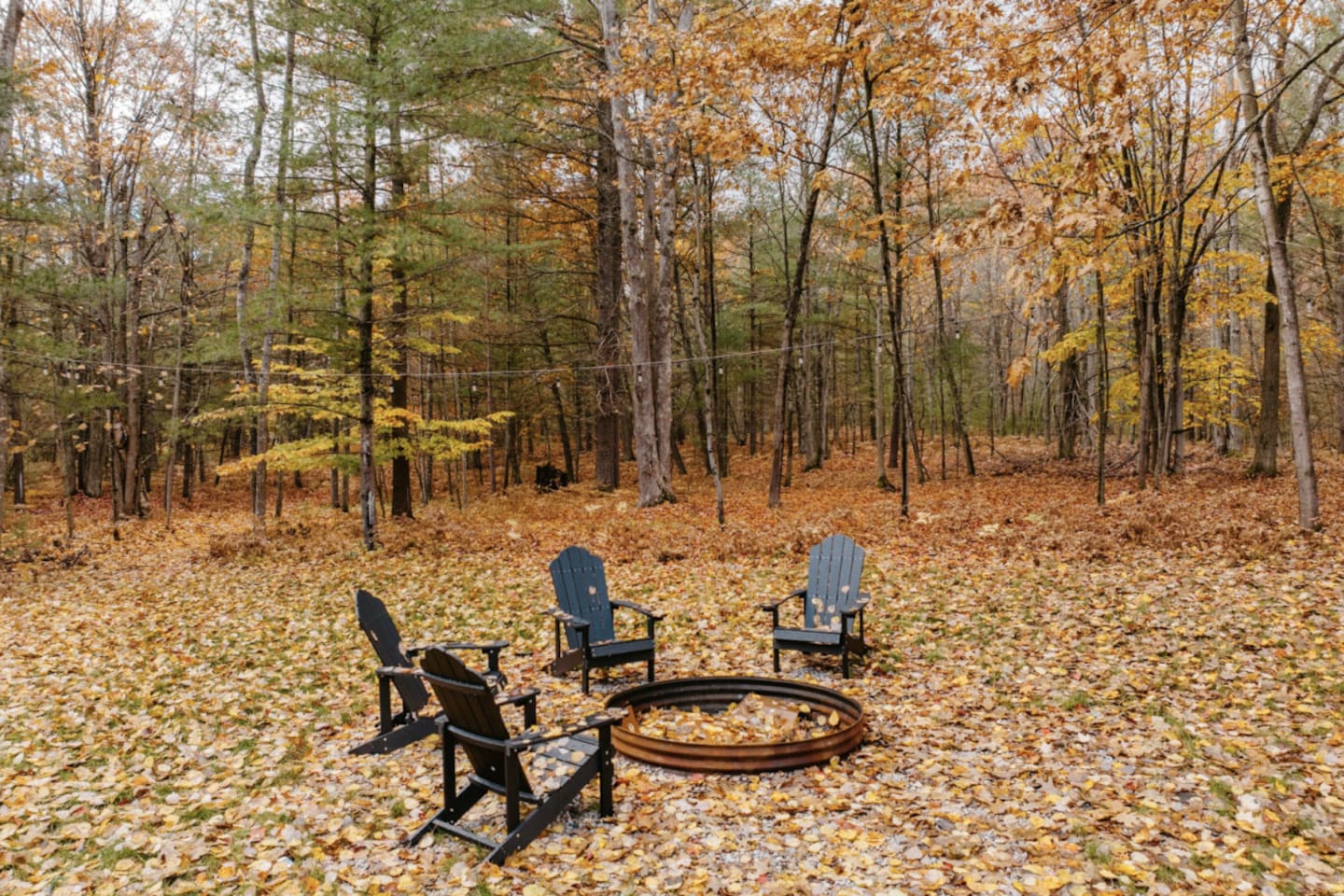 Windcatch Group- Woodlands Bungalow