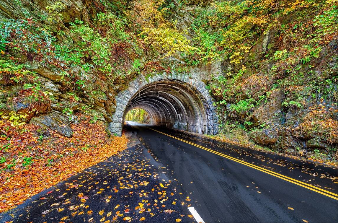 Iconic Tunnel