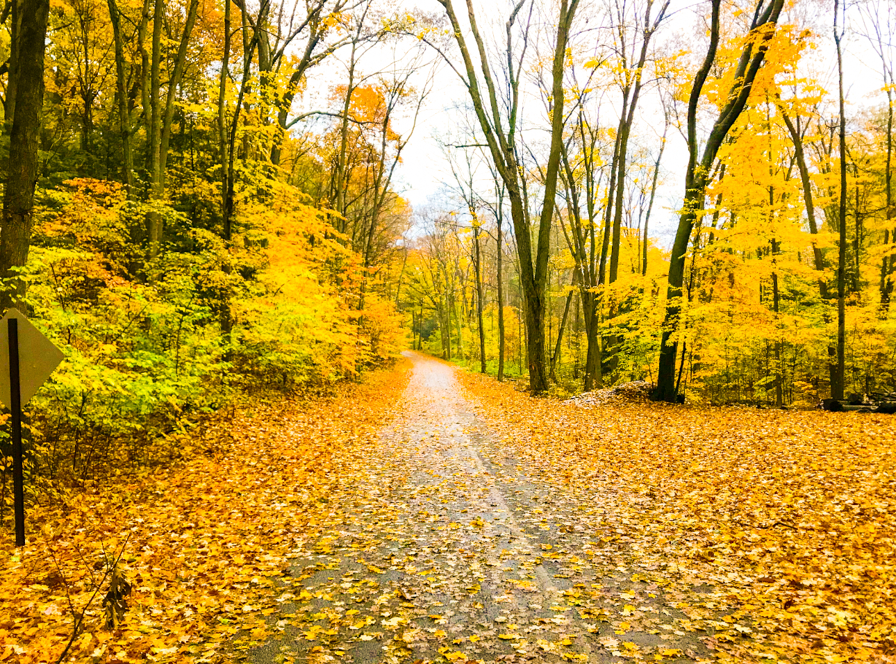 Start and end your day this fall with a peaceful half mile stroll down our tree lined road to the beach.