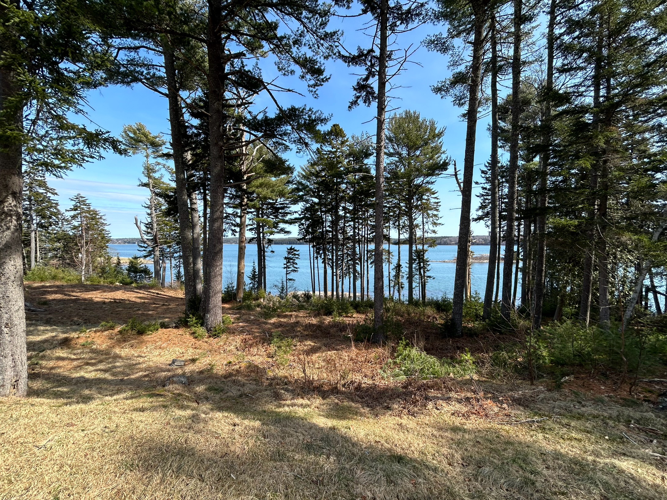 Everchanging views with the tides 