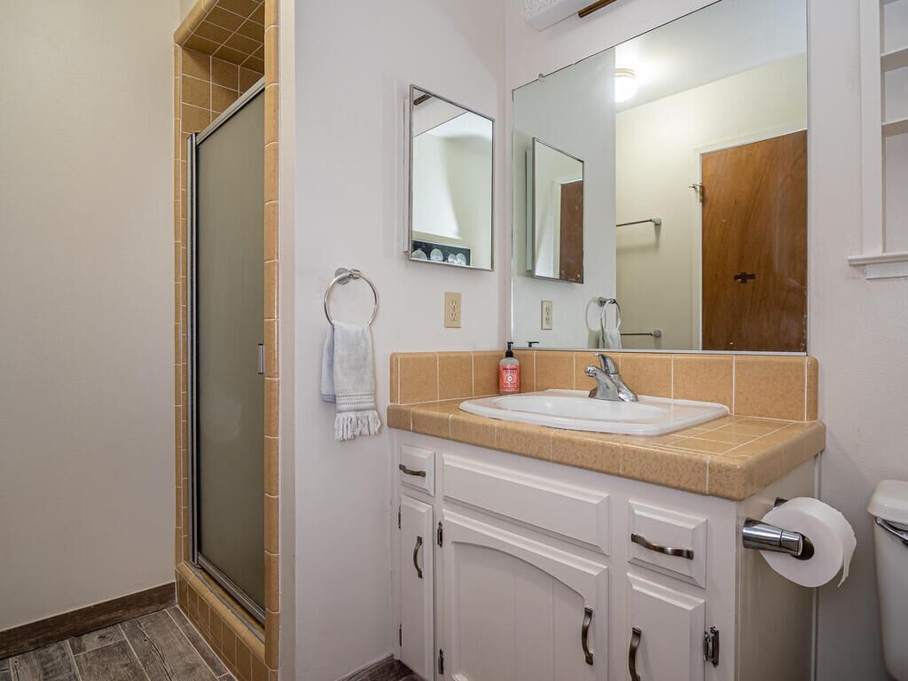 Guest/hall bathroom - shower