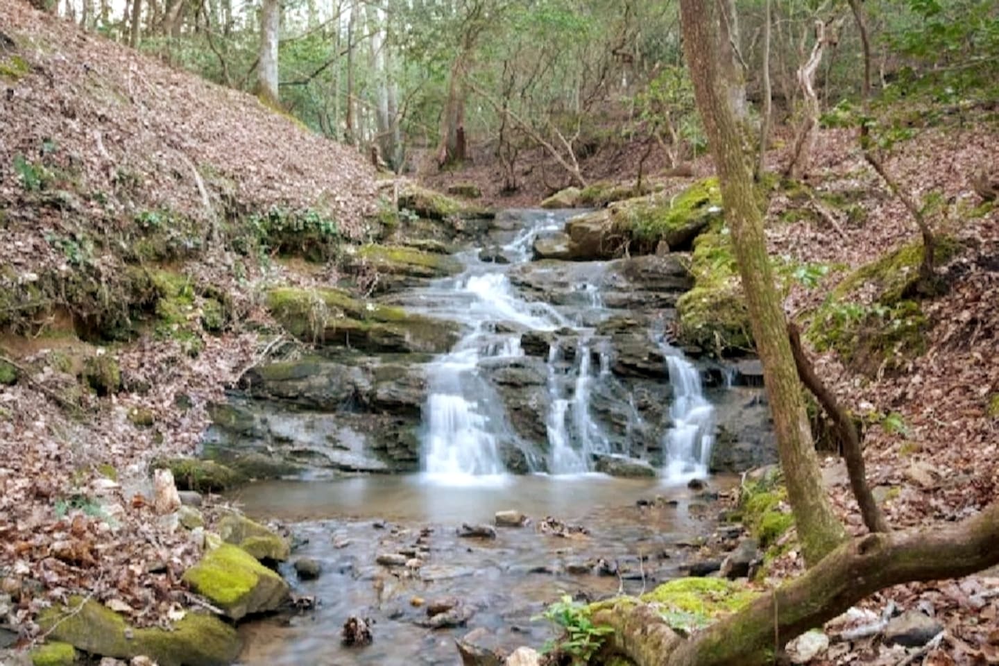 Majestic Falls