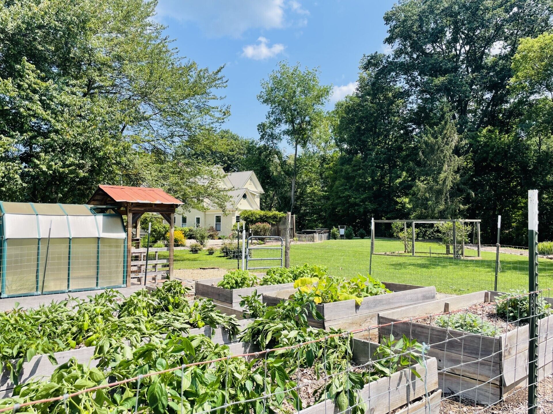 Raised vegetable and herb beds. Guest are welcome to help themselves in season