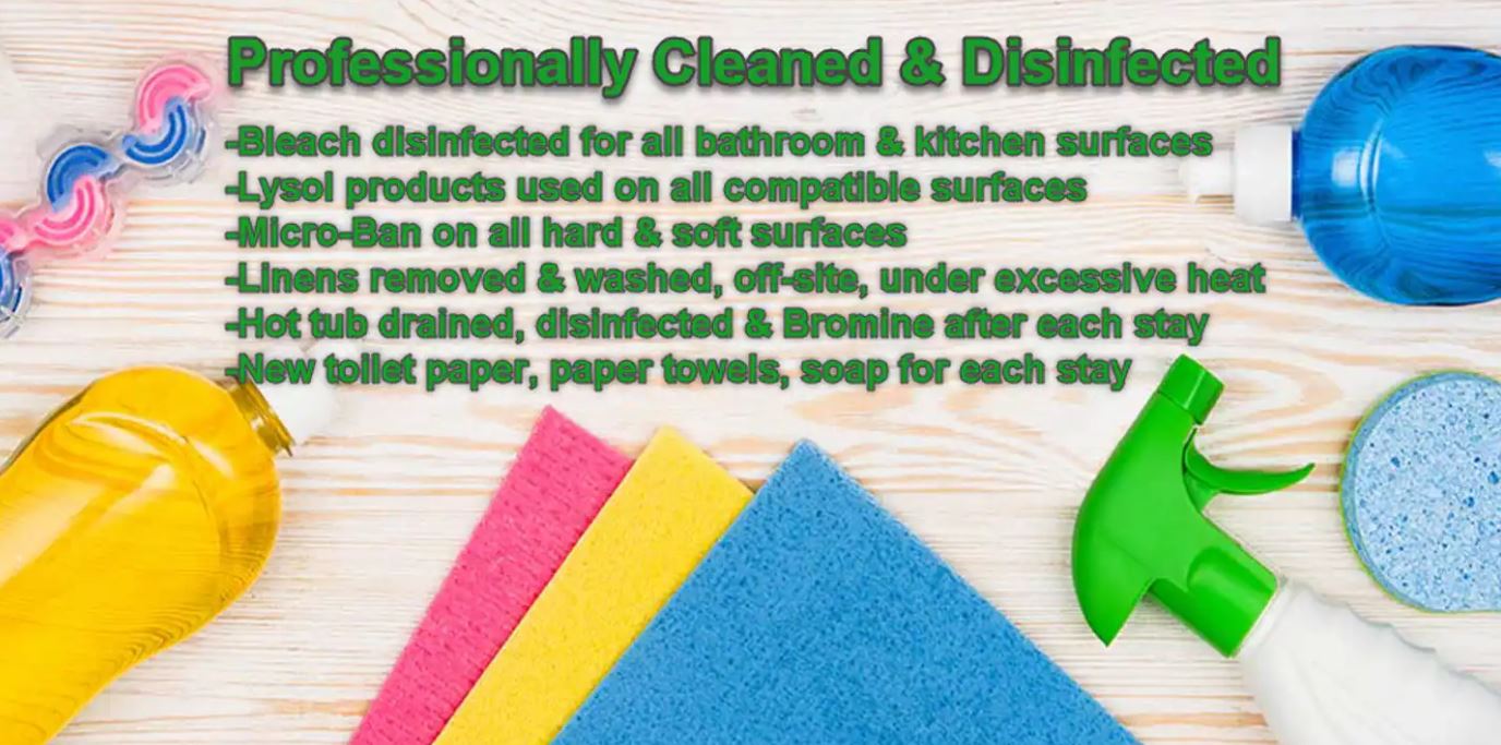 Professional Cleaning Standards