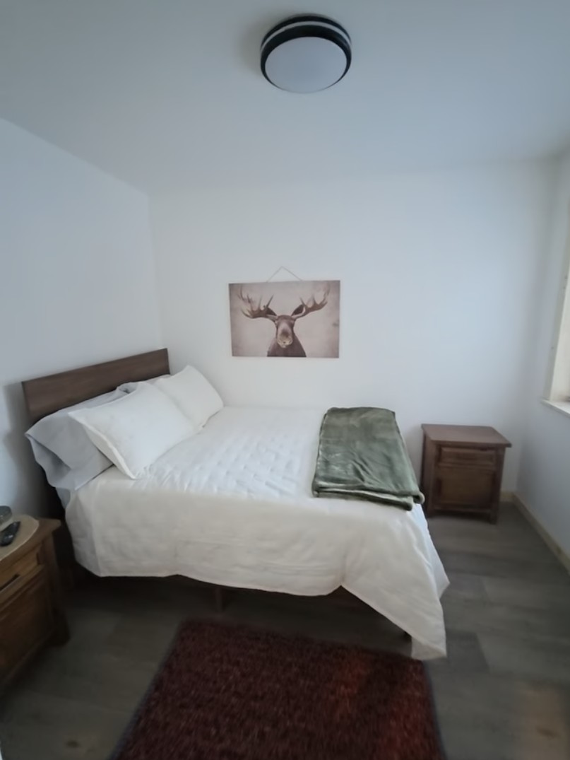 Bedroom on main floor includes a queen size bed, nightstand, closet and TV [Photo is representative but is not from this cabin].