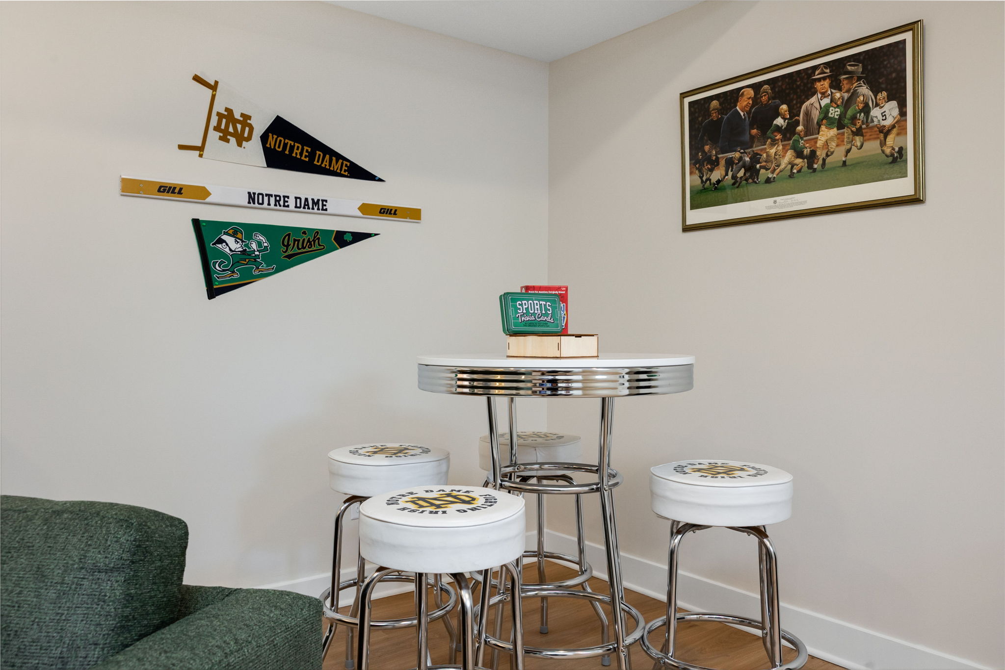 Basement Living Room