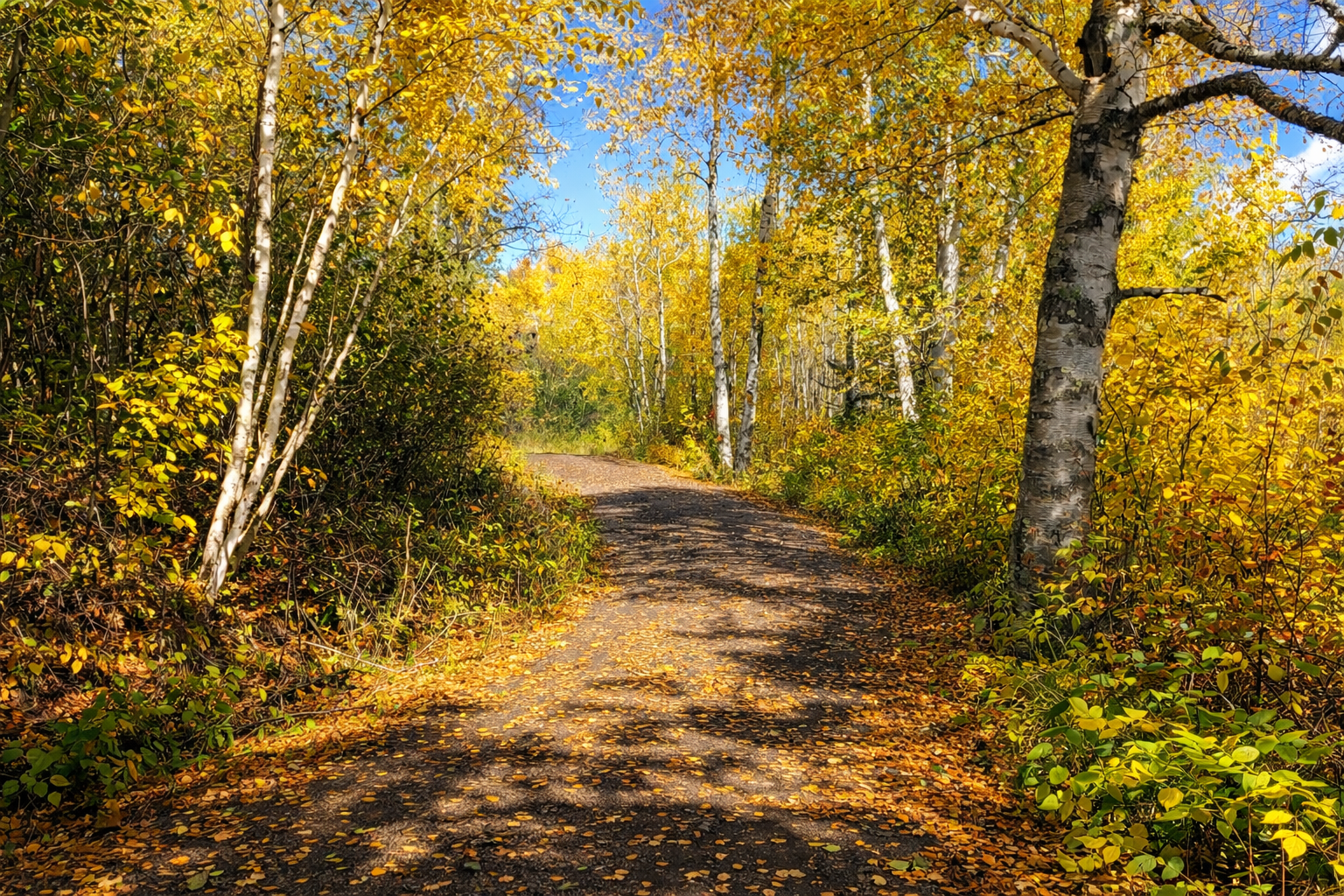 A gentle, winding drive through tree-covered North Shore woods leads you in, building anticipation with every turn. The world slows down, the trees open up, and you know you’ve arrived an inviting, peaceful start to a truly magical cabin getaway.