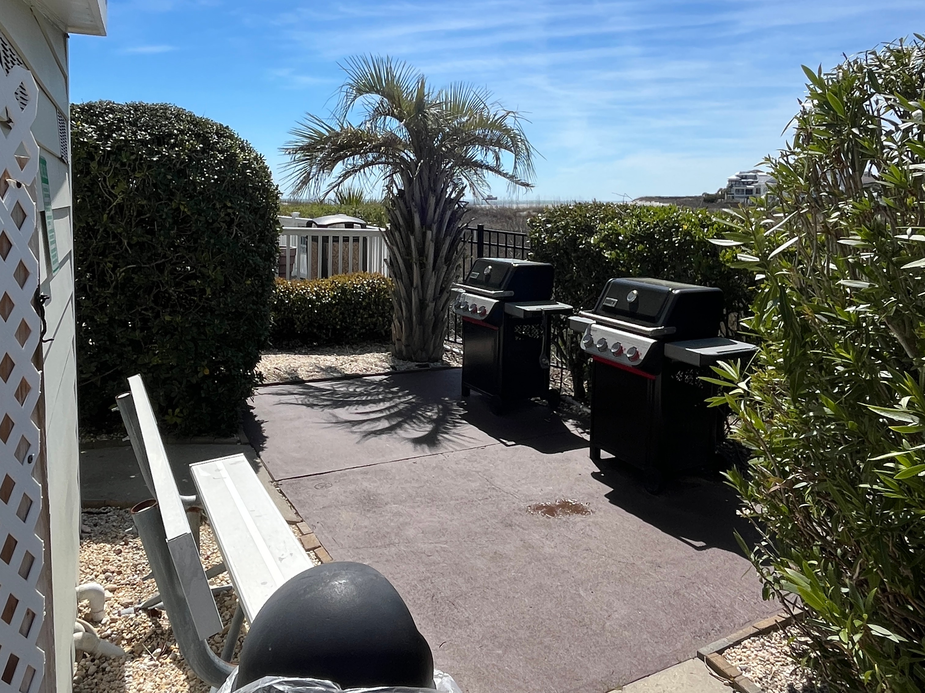 Grilling Area with Propane Grills