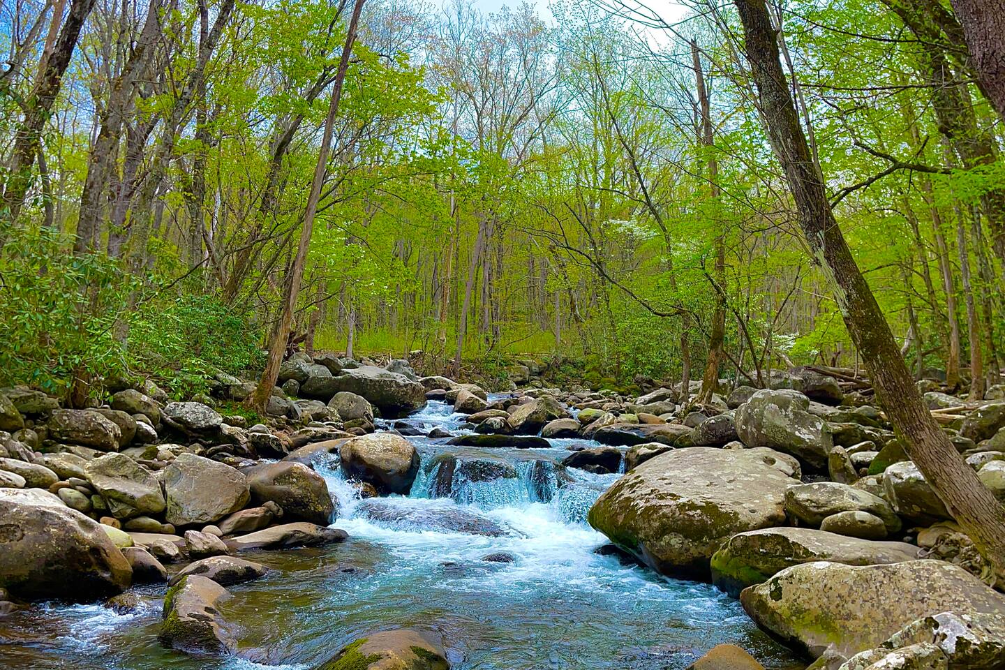 Take a hike on almost any of the hundreds of walking paths around the Smoky Mountains and you're almost certain to run into a stream like this at some point.