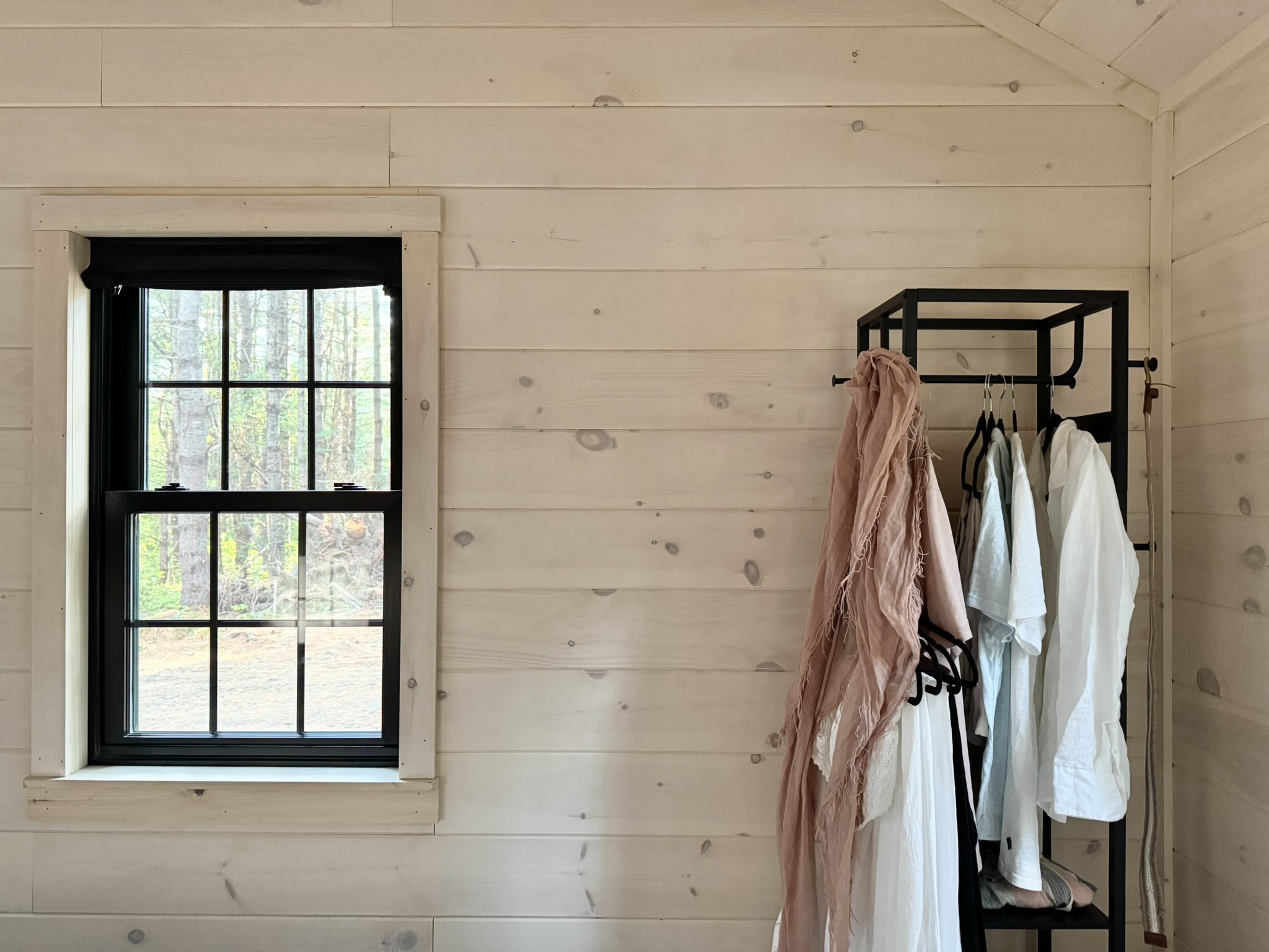 Window blinds and area for clothing storage